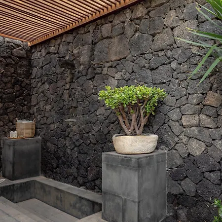 酒店 Paradisus Salinas Lanzarote (adults Only)