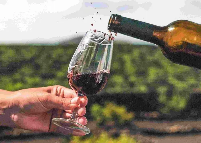 Paradisus Salinas Lanzarote (adults Only) 5* Costa Teguise